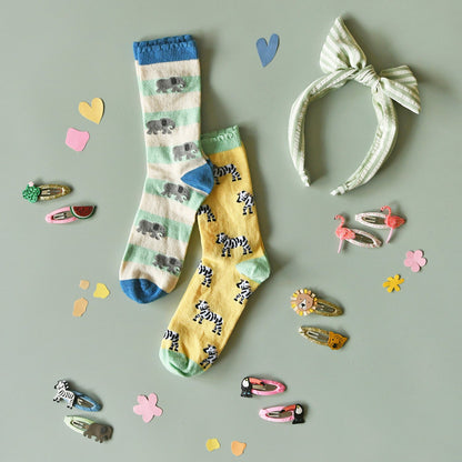 Clips de grands félins