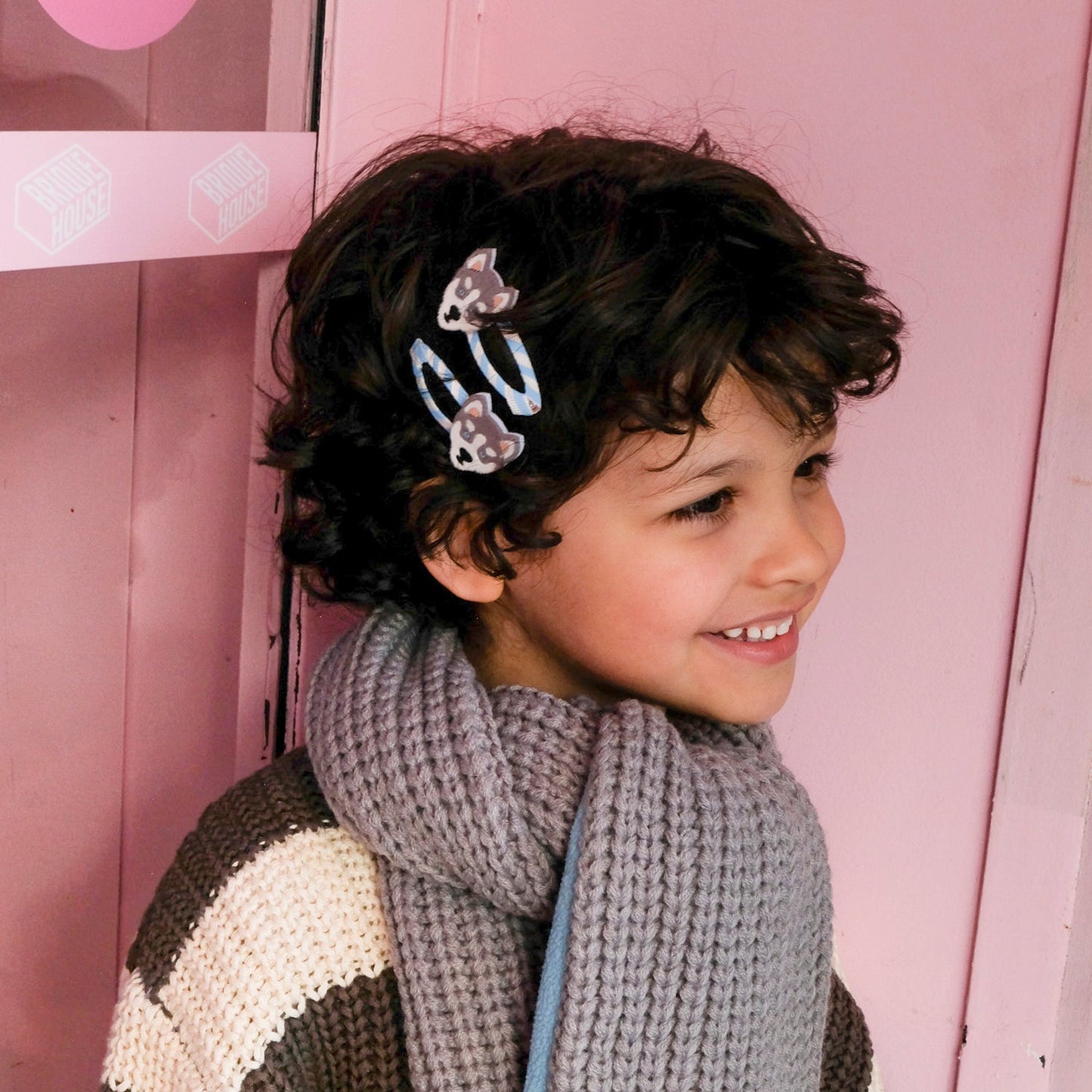 Coupes pour chiens Husky