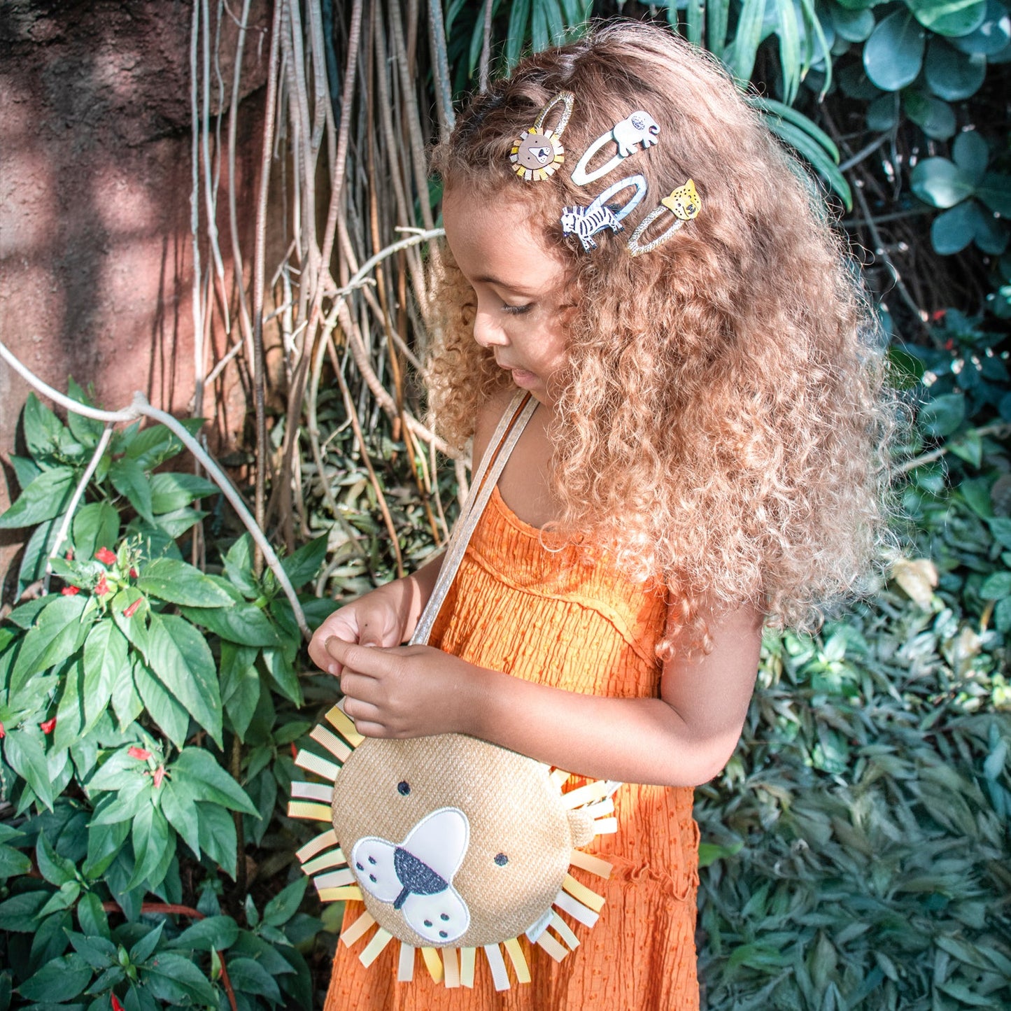 Clips de grands félins